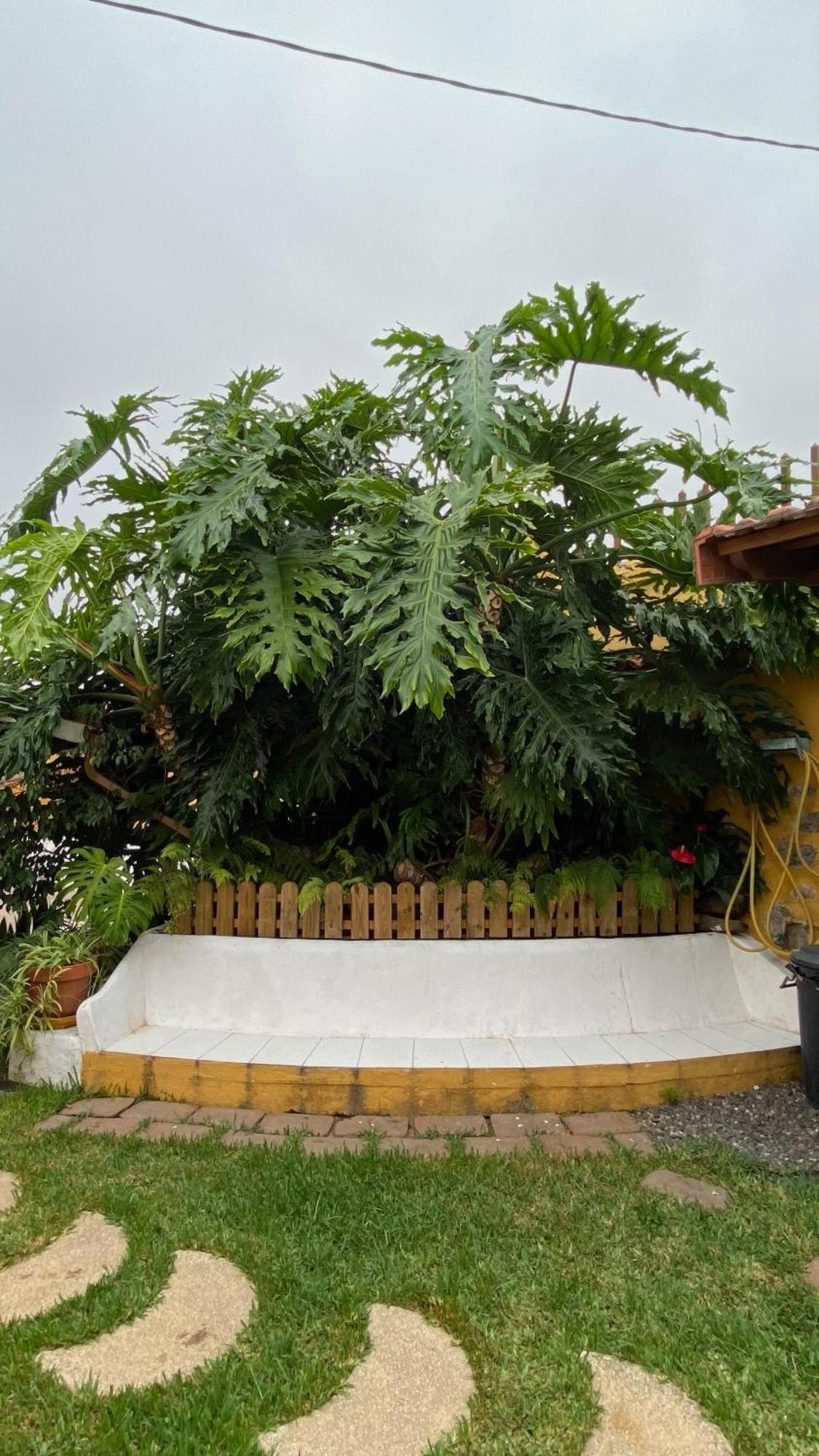 La Ganania Casa di campagna Los Realejos