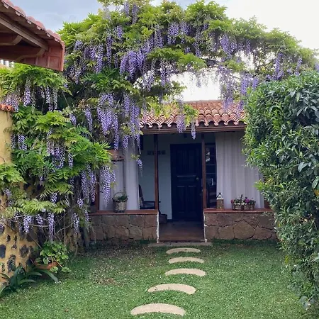 Casa Rural La Ganania Los Realejos Extérieur photo