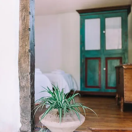 Casa Rural La Ganania Los Realejos Extérieur photo