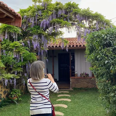 Casa Rural La Ganania Los Realejos Chambre photo